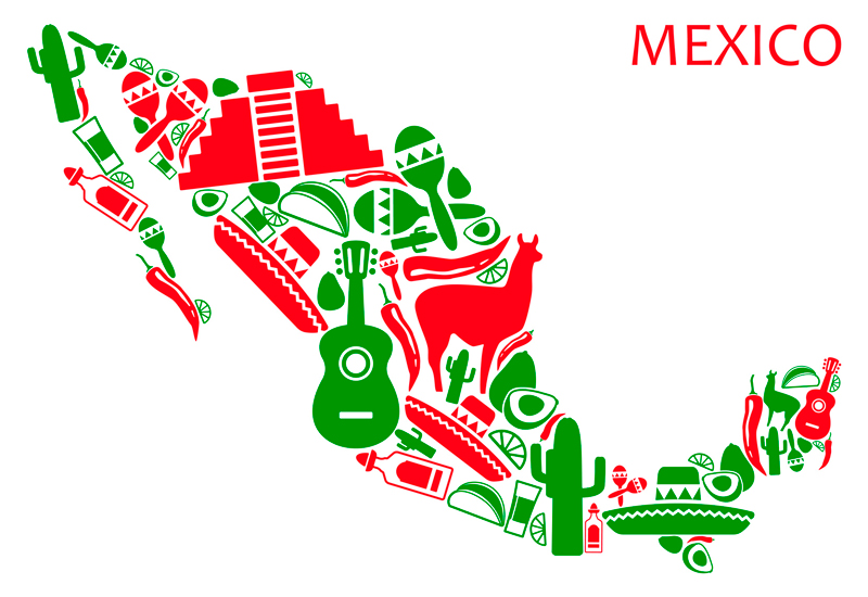 STANDARD  MEXICAN AUTO INSURANCE  COVERAGE