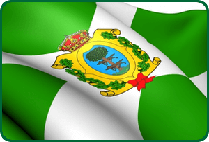 durango flag