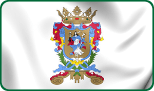 guanajuato flag