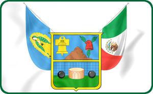 hidalgo flag