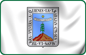 morelos flag