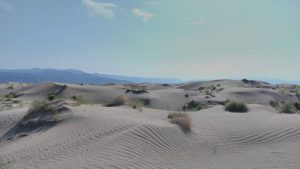 bolson mapimi durango