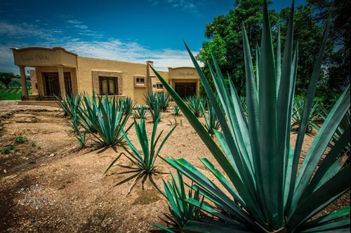 Pueblo Tequila en Jalisco