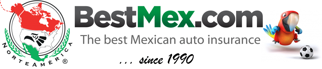 Bestmex Blog