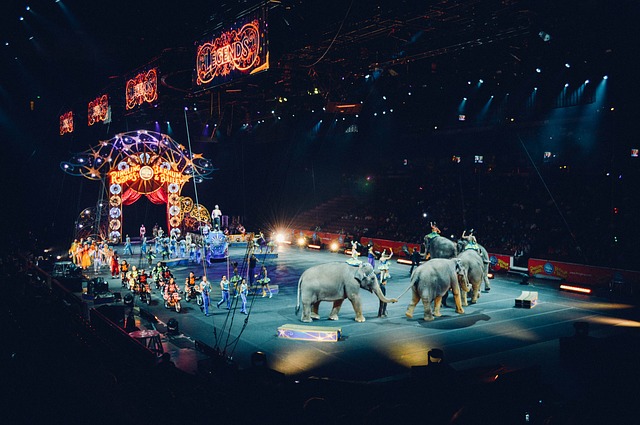 san-luis-potosi-feria-nacional-potosina-circus-828680_640 National Fair Potosina
