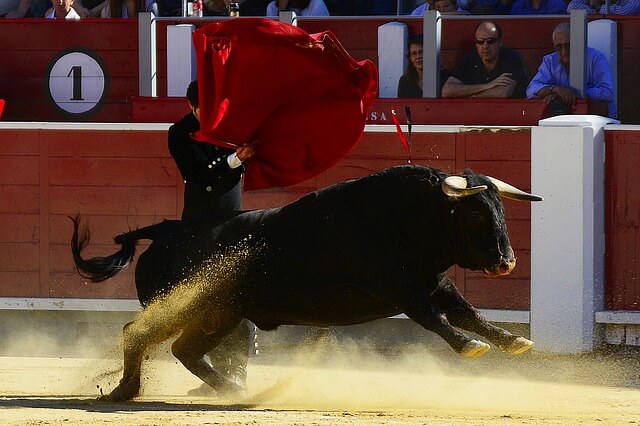 Fiesta Brava in Aguascalientes