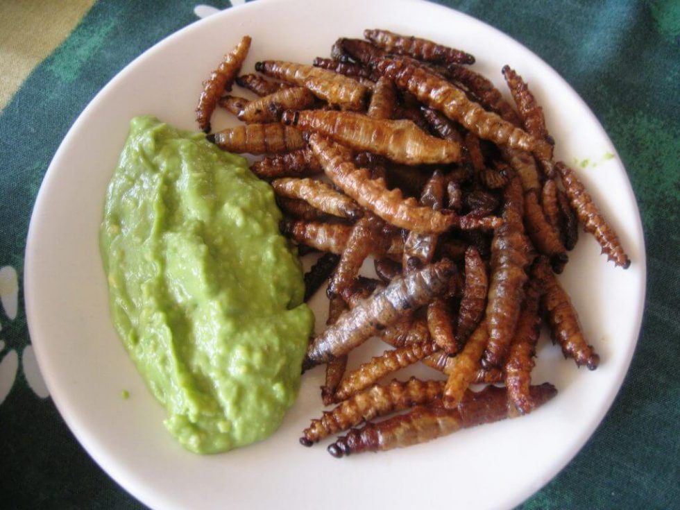 Cholula, a magical town full of churches Bestmex Blog