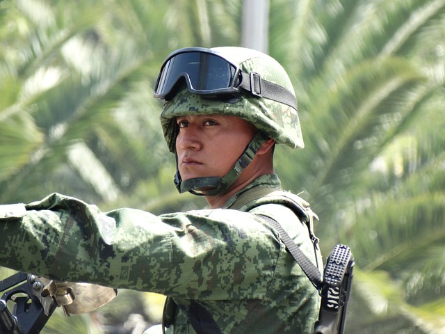 Military Check Points in México