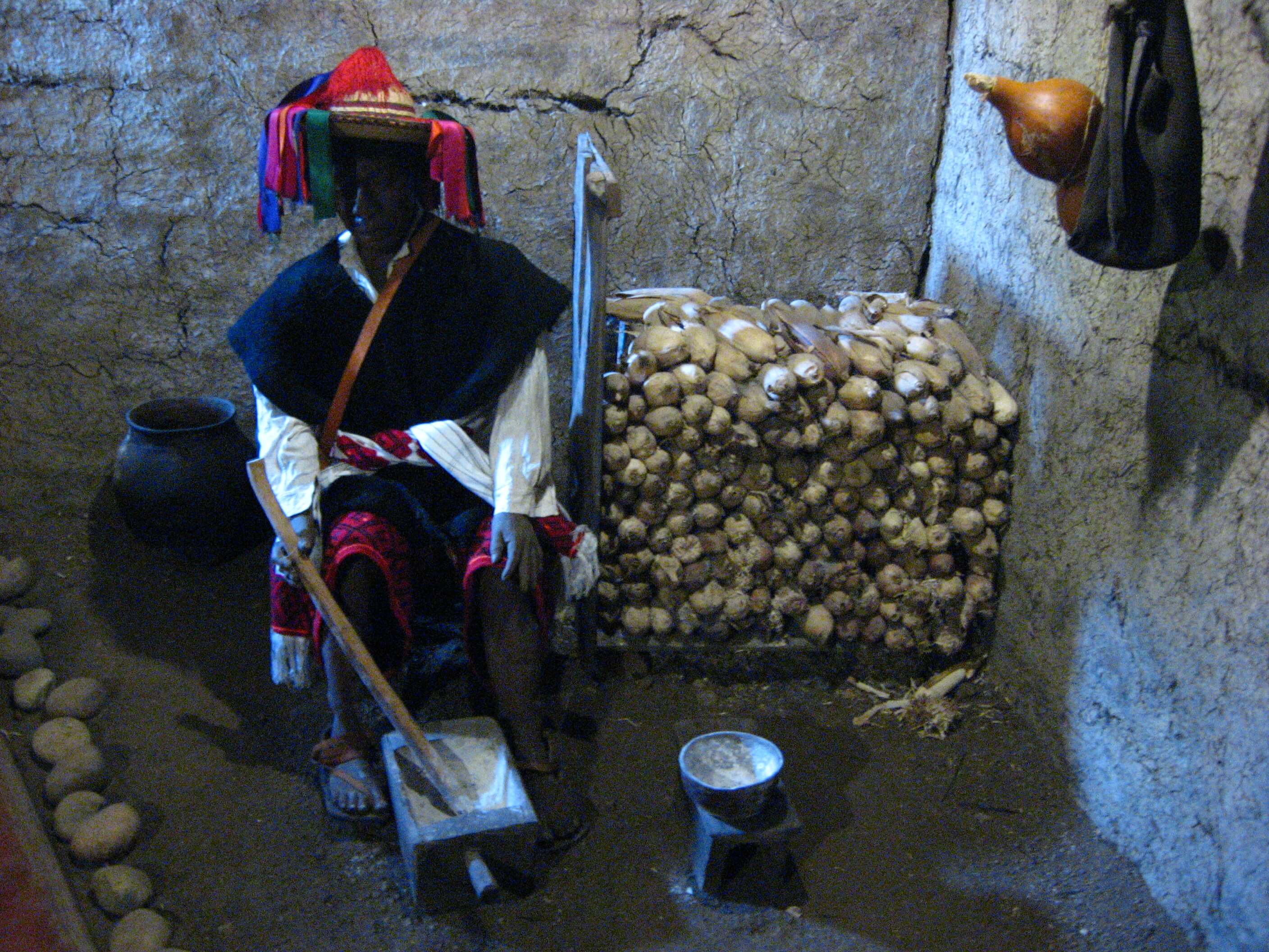 Museum of Mayan medicine in San Cristóbal de las Casas