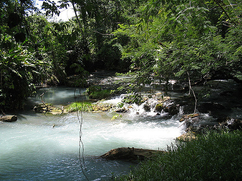 Rivers Oxolotlán and Amatlán near Tapijulapa