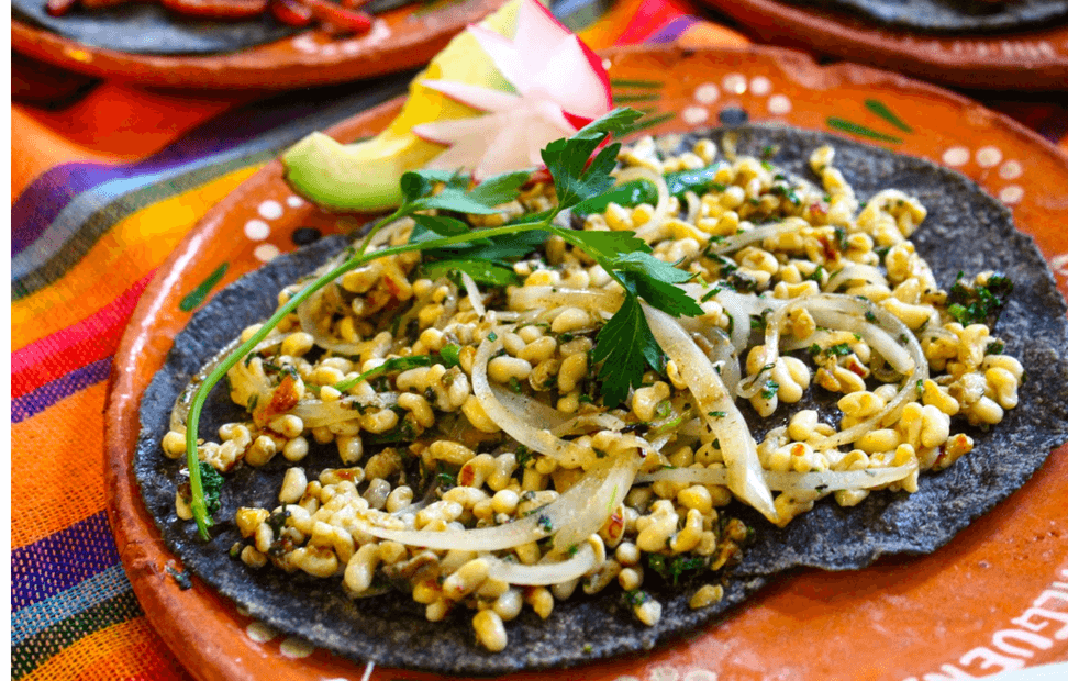 Tacos of escamotes of the city of Tlaxcala