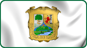 Bandera Coahuila