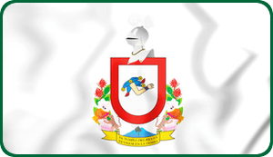 bandera colima