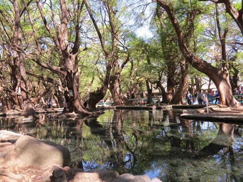 Lago de Cuamécaro Michoacán