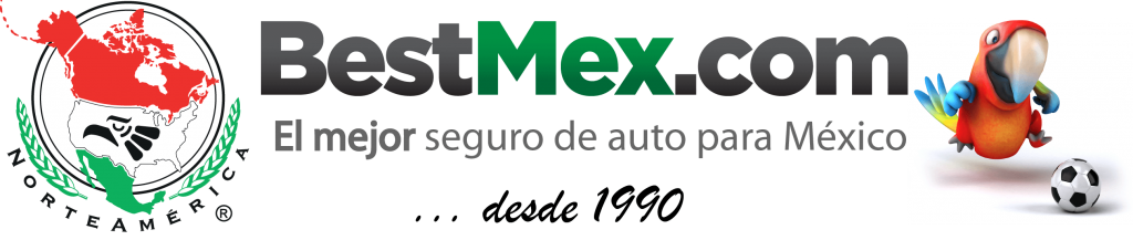 Bestmex Blog