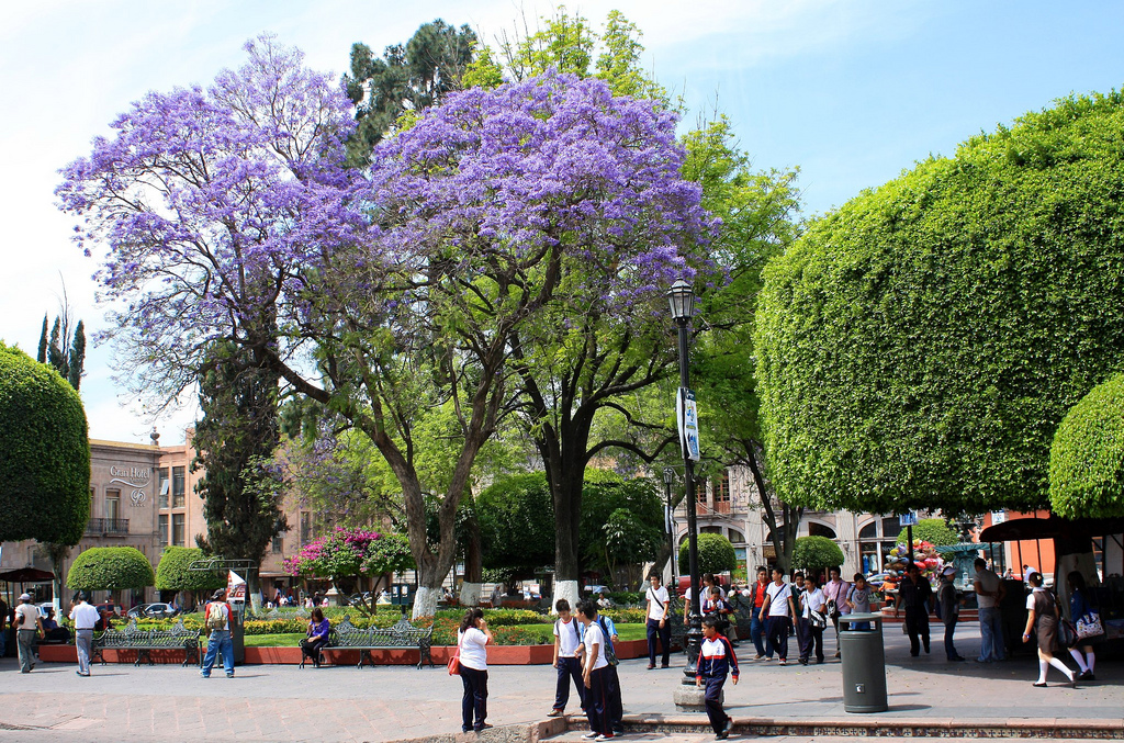 Centro histórico de Querétaro