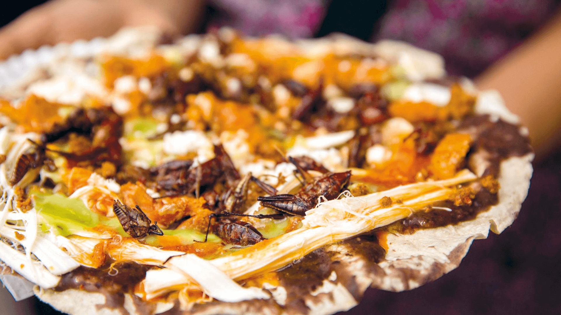 Delicias típicas de Oaxaca - Tlayuda