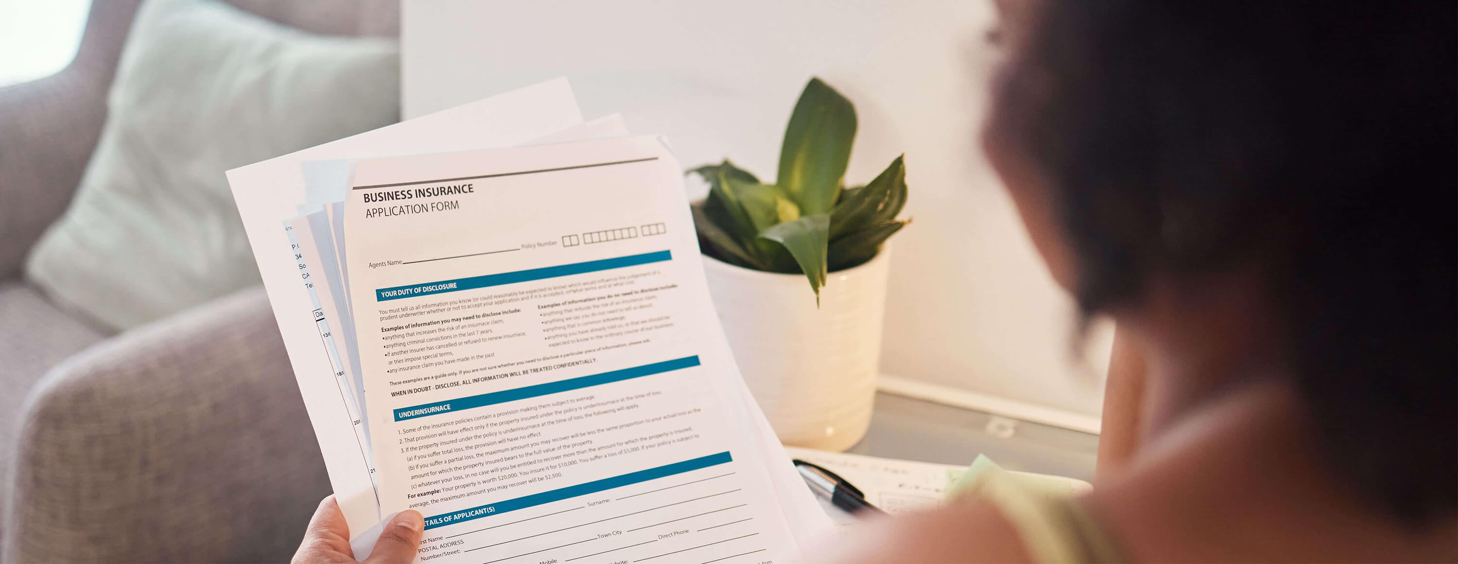 Mexican Auto Insurance Application Form